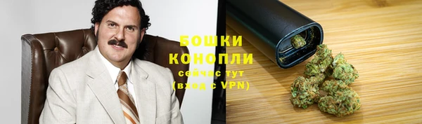 спиды Богданович