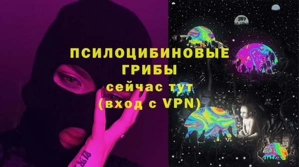 apvp Бугульма