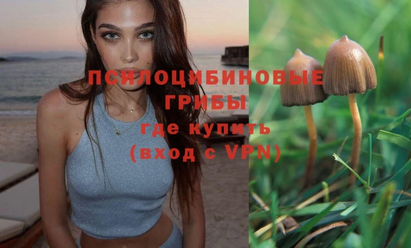 гашик Бронницы