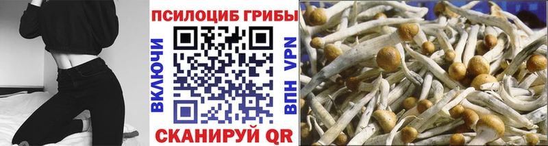Галлюциногенные грибы MAGIC MUSHROOMS Альметьевск