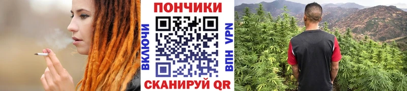 Марихуана сатива  купить закладку  Альметьевск 